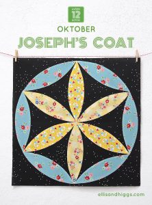6 Koepfe 12 Bloecke Oktober Block Joseph's Coat von Nadra Ridgeway von ellis & higgs