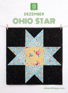 6 Koepfe 12 Bloecke Dezember Block Ohio Star von Nadra Ridgeway von ellis & higgs