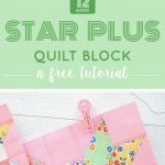 6 Köpfe 12 Blöcke 2019 - Star Plus Quilt Block